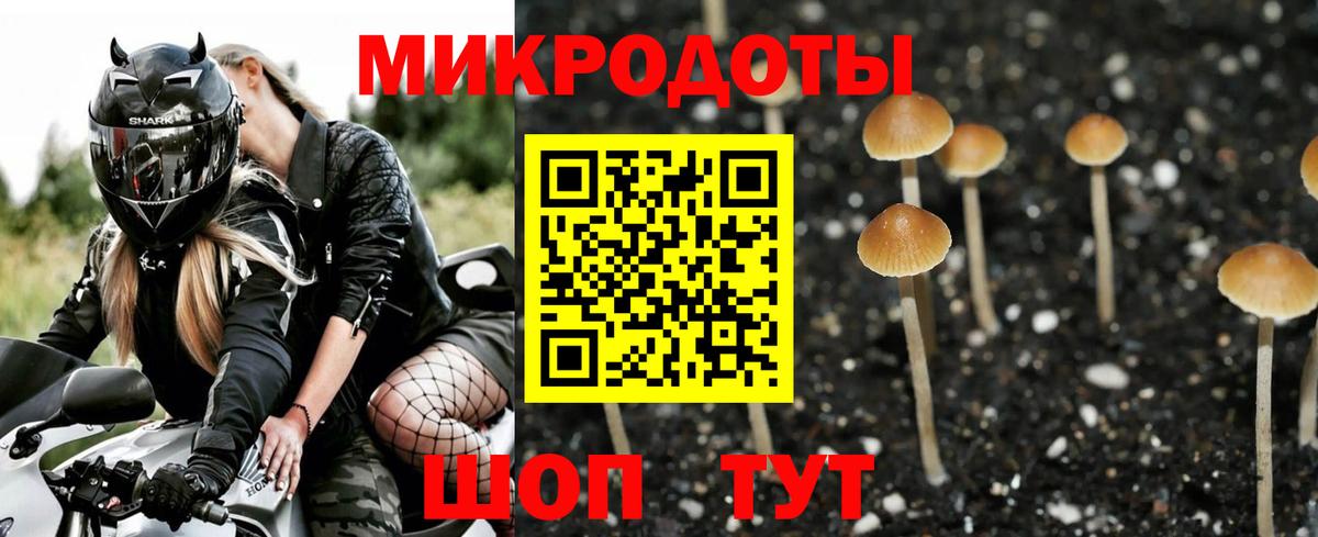 Псилоцибиновые грибы Psilocybe  Вход с VPN  Кингисепп 