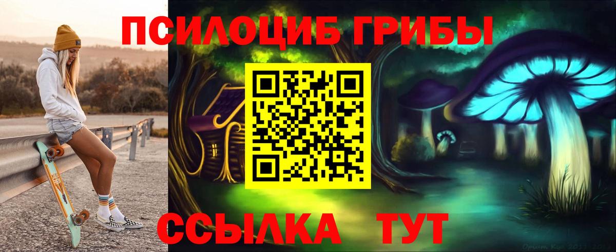 Псилоцибиновые грибы MAGIC MUSHROOMS Кингисепп